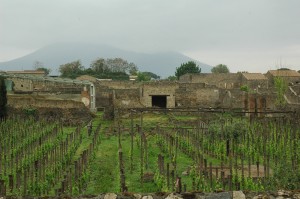 Mount Vesuvius