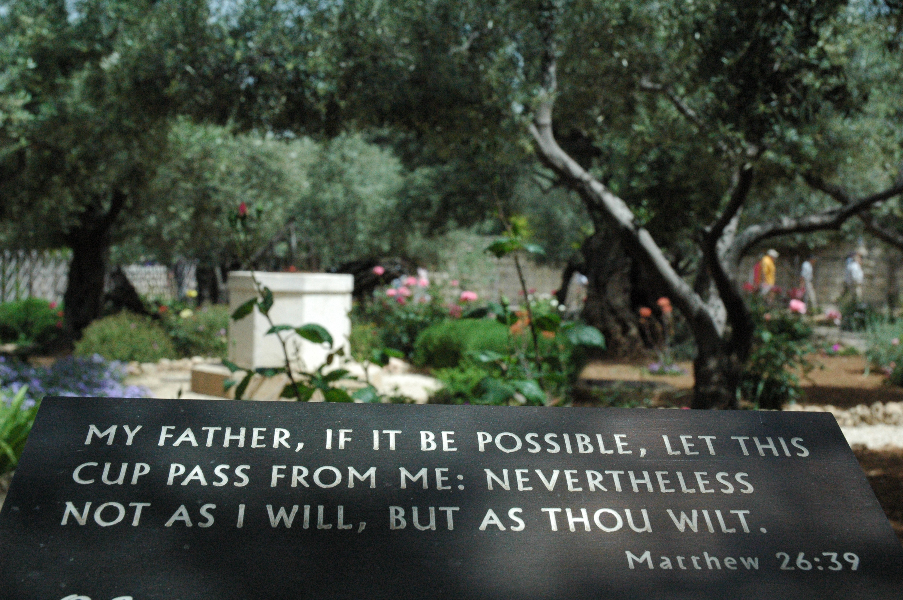 Garden Of Gethsemane All Men Dream But Not Equally